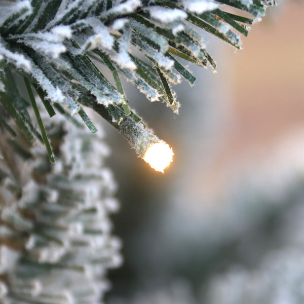 The Holiday Aisle® Green Most Realistic Spruce Flocked/Frosted